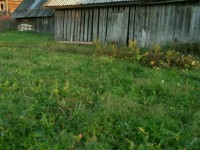 Продается шикарный ДОМ из сруба в экологически чистом районе Костромской области
