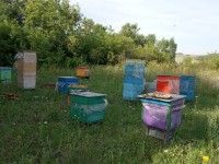 Продам дом в Белгородской Области Ровеньки