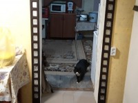 Продам дом в Белгородской Области Ровеньки