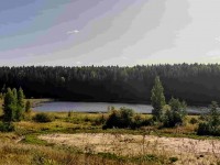 Земельный участок 54 сотки под строительство рядом с красивым озером в живописном месте под Псковскими Печорами