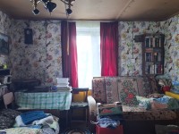 Небольшой дачный домик с баней под Псковом, речка и лес