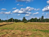 Дом на уютном хуторе у хвойного леса под Псковскими Печорами, 6 гектар земли 