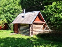 Домик с баней на уютном хуторе в лесном массиве под Псковом 
