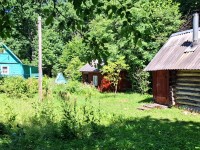 Домик с баней на уютном хуторе в лесном массиве под Псковом 