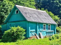 Домик с баней на уютном хуторе в лесном массиве под Псковом 