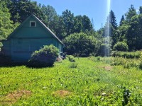 Домик с баней на уютном хуторе в лесном массиве под Псковом 