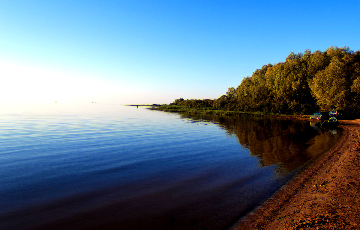 Сергово новгородская область фото