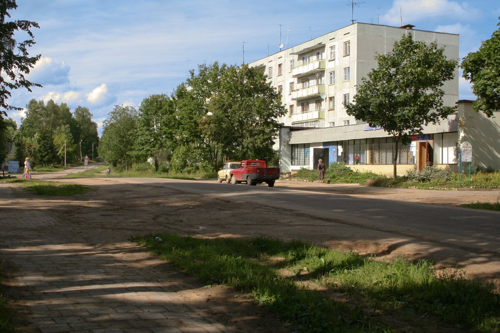 Квартира в лихославле. Поселок Калашниково. Калашниково Тверская область. Посёлок Калашниково Тверская область. П Калашниково Лихославльский район Тверская область.