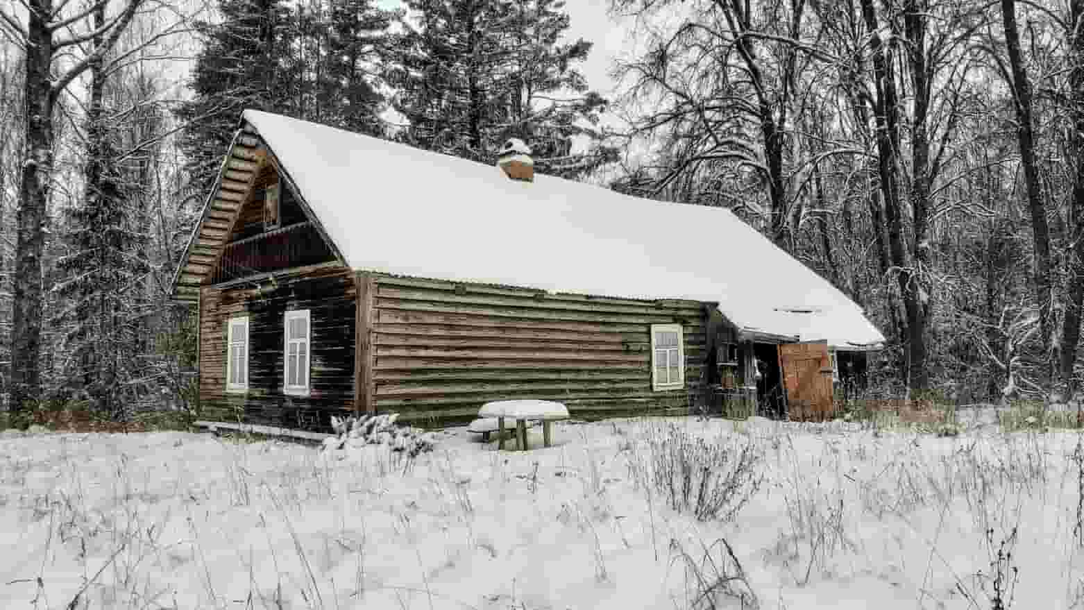 Крепкий домик на эстонском хуторе в хвойном лесу под Старым Изборском 