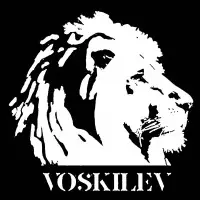 Voskilev Design