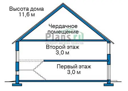 Общее — 3