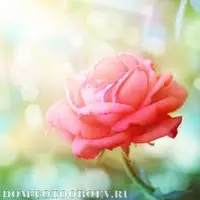Малика