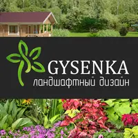 Gysenka