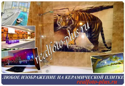 Что такое фотоплитка?