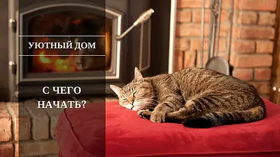 С чего начать решение жилищного вопроса?