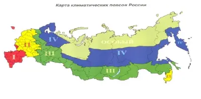 Утеплитель "Арктический"  - победитель холода!