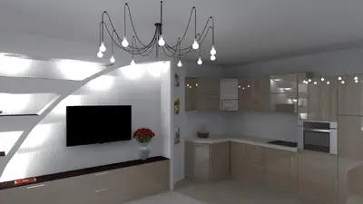 Гостиная совместно с кухней