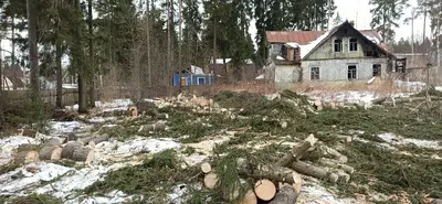 Спил деревьев на участке.