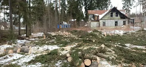 Спил деревьев на участке.