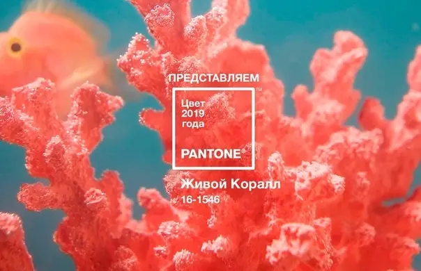 Living Coral - цвет 2019 года - Фото 2